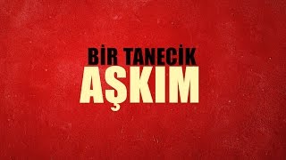 Gülçin Ergül  Bir Tanecik Aşkım Official Lyric Video [upl. by Weirick155]