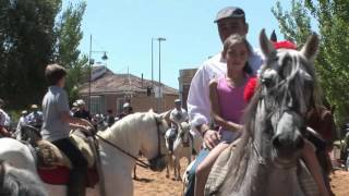 VII Feria del Caballo de Medina de Rioseco [upl. by Malissia346]