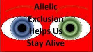 How Allelic Exclusion Helps YOU Stay Alive [upl. by Seline623]