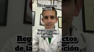 Salud intestinal y emociones [upl. by Jun273]