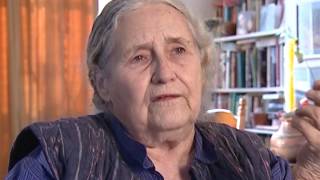 Doris Lessing  quotThe Golden Notebookquot 1426 [upl. by Anum593]