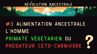 Alimentation ancestrale P1  Lhomme primate végétarien ou prédateur cétocarnivore [upl. by Anoblav]