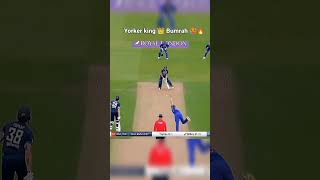 Yorker king 👑 boomviralshort cricket youtubeshorts [upl. by Llezniuq]