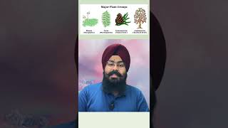 quotPlantae Kingdom Overview  NCERT Explained for NEET UG Aspirantsquot neetncertbiology ncert biology [upl. by Timmy13]