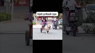 Ojek Pribadi  ojekonline viralshort ojekgunung ojekpengkolan viralvideo [upl. by Sean]