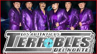 LOS TERRIBLES DEL NORTE 💃 CORRIDOS MEJOR EXITOS 2024 🕺 CORRIDOS MIX 2024 [upl. by Wessling533]