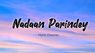 Nadaan Parindey lyrics  Rockstar  Mohit Chauhan  LYRICS🖤 [upl. by Dessma623]