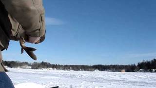 Ice Fishing Beaver Lake Derry NH [upl. by Oaoj327]