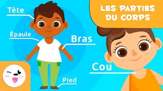 Les parties du corps humain pour les enfants  Vidéos éducatives pour les enfants [upl. by Gilberto320]