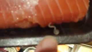 Live worms on salmon at Byerlys [upl. by Suzetta]