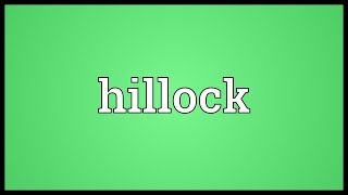 Hillock Meaning [upl. by Anircam]