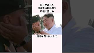 北朝鮮の脱北率の高い”知能型”の末路 北朝鮮 金正恩 [upl. by Alithia]