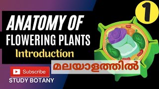 ANATOMY OF FLOWERING PLANTS PLUS ONE BIOLOGY MALAYALATHIL CHAPTER6 STUDY BOTANY NCERT CBSE [upl. by Yalhsa]