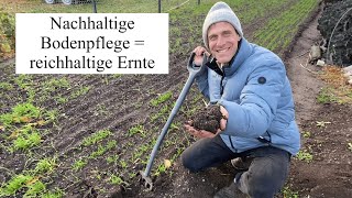 Biologische Bodenpflege im Herbst 😊 Mulchen und GrünDüngen für ein aktives Bodenleben [upl. by Canice]