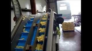 Haith Potato Peeling System [upl. by Tiduj]