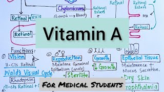 VitaminA  Absorption Transport Function Deficiency Manifestations amp Therapeutic Use [upl. by Portia382]