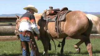 How to Western Saddle a Horse [upl. by Pickard]