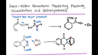 DielsAlder Reaction Practice  LTQ 31 Spring 2024 [upl. by Kinna]