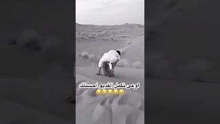 بقالي نص ساعة بضحك 😂😂 فولو اكسبلورر funny اكسبلورفولو [upl. by Homere]