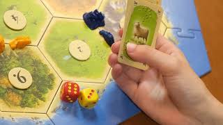 Catan The Video Essay Edition [upl. by Derf864]