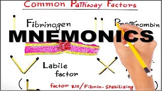 Mnemonic series 1  Clotting factors of common pathway easiest way to remember [upl. by Ayiram]