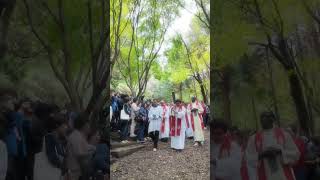 the Way of the Cross in Naju korea감동의 십자가길 shorts catholic shortvideo😍🙏🇬🇧🇺🇲🇨🇳🇵🇭🇲🇾 [upl. by Ludwigg507]