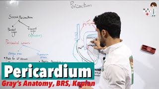 Pericardium Anatomy 50 [upl. by Mcnamara891]