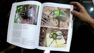 Book review Breeding Beetles  The Substantial Guide by Benjamin Harink [upl. by Colson]