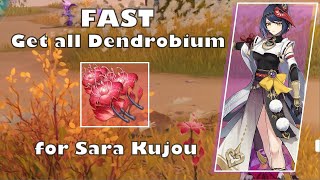 Dendrobium Genshin Impact  Route Dendrobium All Location  amp Farming Dendrobium for Sara Kujou [upl. by Atteirneh]