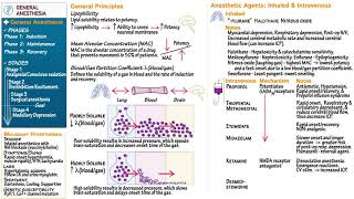 General Anesthesia [upl. by Thay]