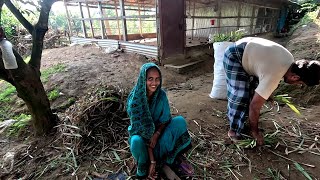 বুড়ির সংসারে সুখ ফিরেছে বুড়ি কি নতুন সংসার শুরু করলো BD Agro world [upl. by Aselehc14]