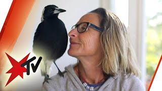 Querschnittsgelähmte Mutter Wie ein Vogel die Familie rettete  stern TV 2017 [upl. by Heinrich]