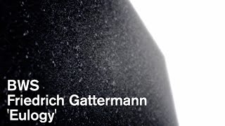 Friedrich Gattermann  Eulogy–Benjamin Wallfisch Strings demo [upl. by Ahsait]