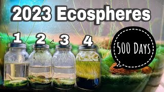 1 Year Ecosphere Update Incremental Improvement [upl. by Renner]