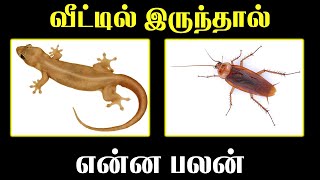 வீட்டுக்குள் இருந்தால் என்ன பலன்  Indian Astrology Predictions  T Tamil Technology [upl. by Emee]