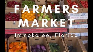 Farmers Market Immokalee Florida [upl. by Vezza]