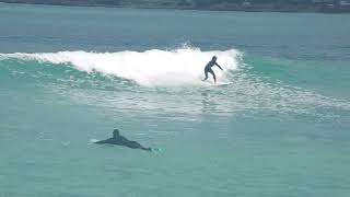 Spring Surfing at Lyall Bay Wellington New Zealand  11 October 2023 [upl. by Aklam]