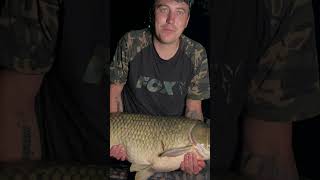 Kolja fishing carpfishinglife sorts fishing sort carplife fishingvideo [upl. by Margareta]