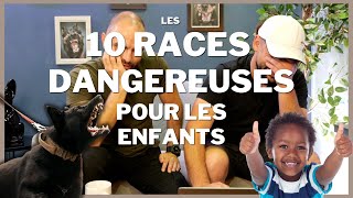 10 races de chiens DANGEREUSES pour les ENFANTS [upl. by Ailin]