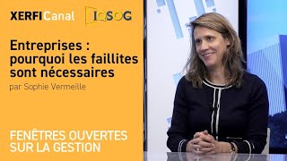 Entreprises  pourquoi les faillites sont nécessaires Sophie Vermeille [upl. by Aluor]