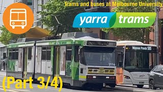 Trams and buses at Melbourne University Part 34 [upl. by Adialeda]