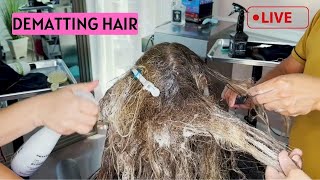 We are Detangling tangled hair  Live hair dematting [upl. by Aerbma768]