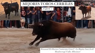 🥇 MEJORES TOROS CERRILES 2024 PARTE 1 territoriobravo [upl. by Ssac750]