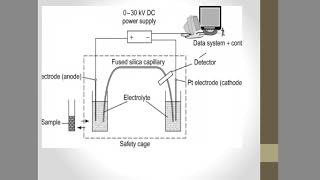 Electro osmotic flow [upl. by Baptlsta716]