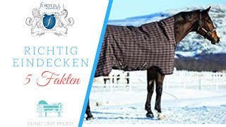 Reiten im Schnee – perfektes Ausdauertraining [upl. by Ellahcim]