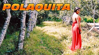 💃POLAQUITA  Sanjuanito  Ecuador Music  Flutes [upl. by Nosittam]