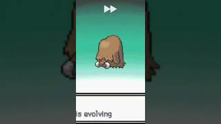 MamoswinePiloswine is evolvingPokemon platinumPkmn worldpiloswinemamoswine pokemon pkmnworld [upl. by Innig]