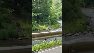 A Catskills creek part of Esopus Creek water basin [upl. by Jarred]