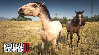 Domando cavalos pelo mapa  JACK O JOVEM DOMADOR  Red Dead Redemption 2 [upl. by Bhatt]