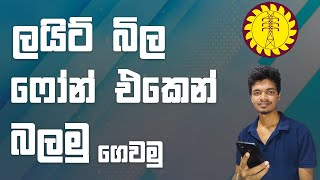 Light Bill එක කෙලින්ම ෆෝන් එකට  CEB Care Electricity Bill On Mobile [upl. by Roi]